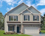 31 Lantern Pointe Way, Harvest image