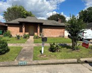 7203 Autumn Grove Drive, Houston image