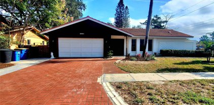 2001 Kamensky Road, Clearwater