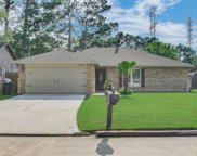 17115 Shrub Oak Drive, Humble image