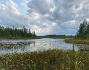 Lot 4 Cessna Ln, Three Lakes image