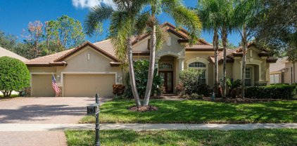 5091 Jasmine Way, Palm Harbor