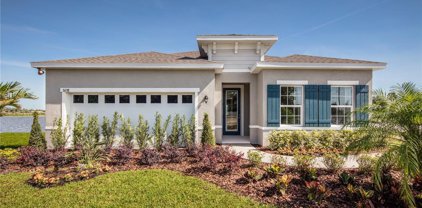 10439 Gliding Eagle Way, Land O' Lakes
