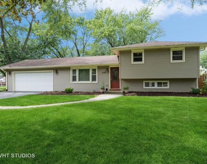 6170 Chase Avenue, Downers Grove