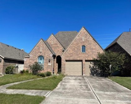 2405 Olive Forest Lane, Manvel