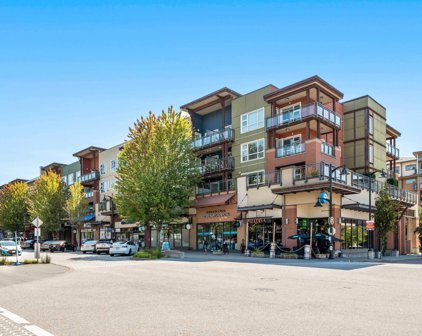 20728 Willoughby Town Centre Drive Unit 302, Langley