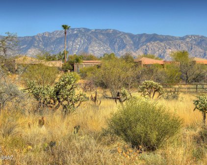 1246 W Ancient Canyon Unit #89, Oro Valley