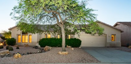5372 S Cat Claw Drive, Gold Canyon