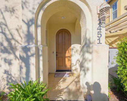 1451 Montage, Escondido