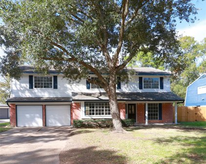 133 Cherry Tree Lane, Friendswood