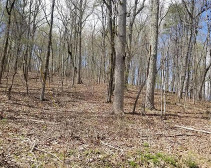 8.43 Acres Spruce, Willow & Maple Drive, Spring City