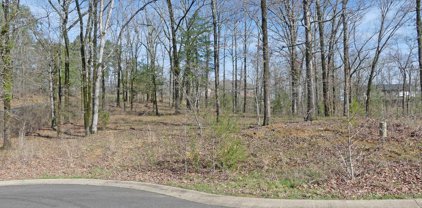 Lot 11 Rose Creek, Hot Springs