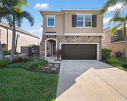 6523 Salt Creek Avenue, Apollo Beach image