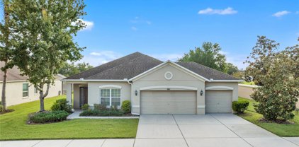 9863 Asbel Estates Street, Land O' Lakes