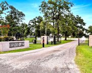 Lot 42 Owl, Hempstead image