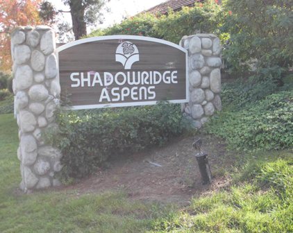 1087 Shadowridge Dr Unit 105, Vista
