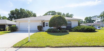 1354 Gillespie Drive, Palm Harbor