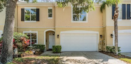 3529 Heards Ferry Drive, Tampa
