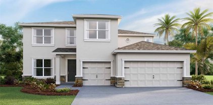 23175 Pachino Way, Lutz