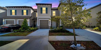 31990 Blue Passing Loop, Wesley Chapel