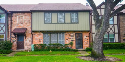 2268 Shadowdale Drive Unit 317, Houston