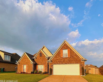 4196 Wildberry Drive, Southaven