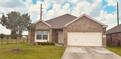 23103 Coulter Pine Court, Tomball