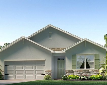 3510 Wild Bramble Court, Plant City