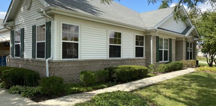 16600 Buckner Pond Way, Crest Hill