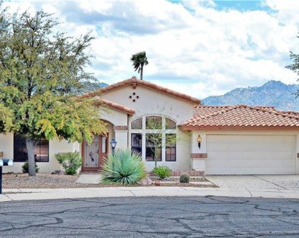 14340 N Coyote Canyon, Oro Valley
