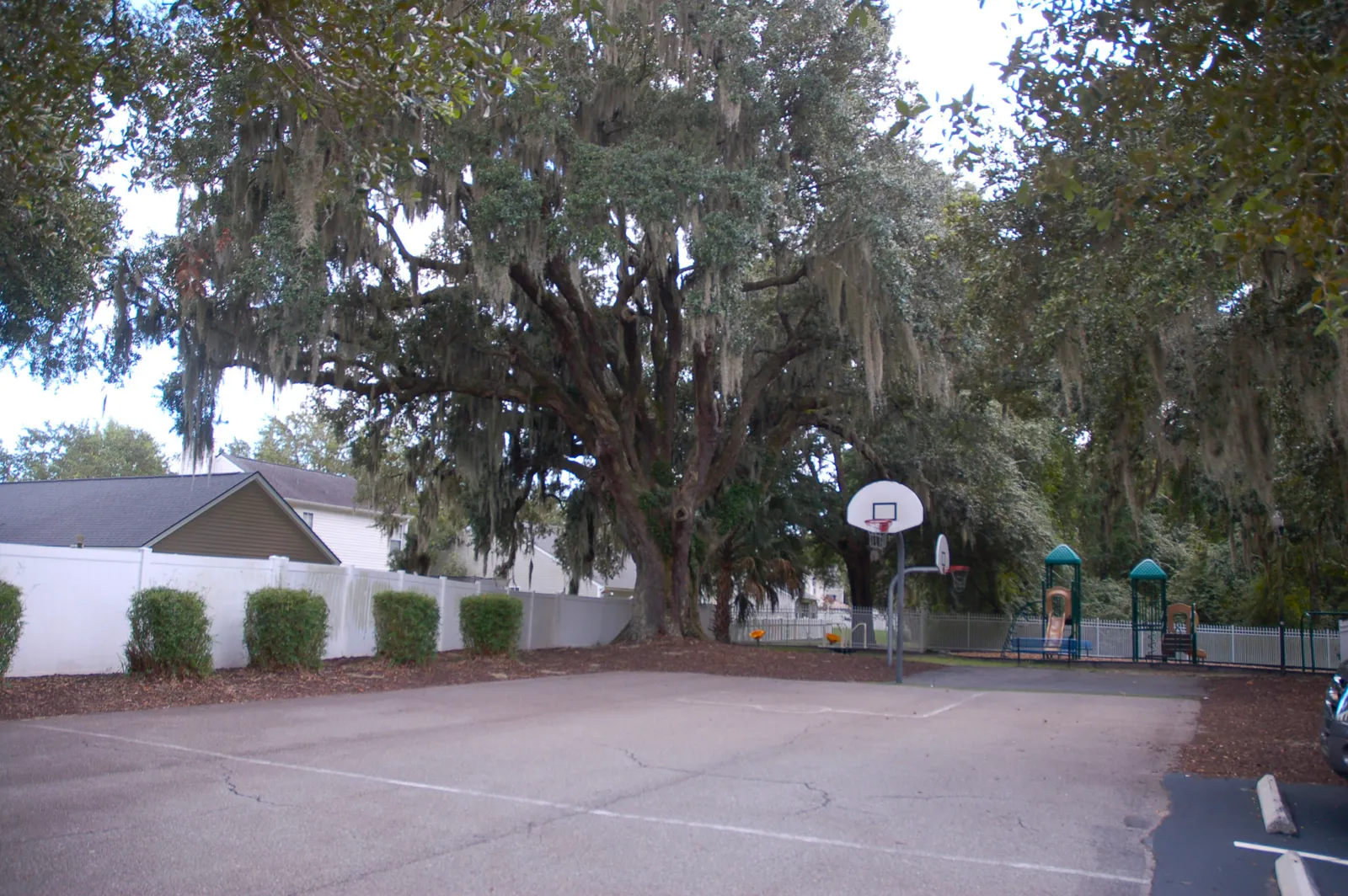 Edgefield community playground and basketball court in Bluffton, SC