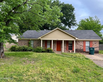 824 Valley Springs Drive, Southaven