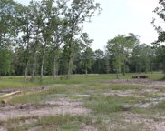Lot 5 FM 3152 Road, Livingston image
