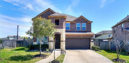 1805 Dry Willow Court, Pearland