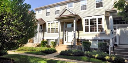 1618 Fox Run Drive Unit #-, Arlington Heights