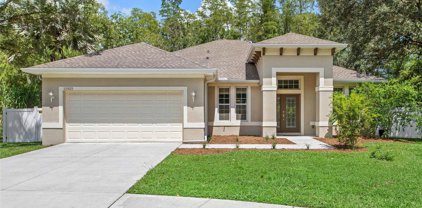 15925 Country Farm Place, Tampa