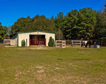 10815 Amar Drive, Conroe