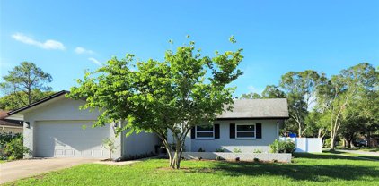 135 Kendale Drive, Safety Harbor