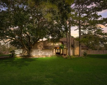3385 Sky Ranch Drive, Alvin