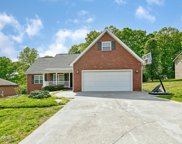 4715 Chesney Meadows Drive, Strawberry Plains image