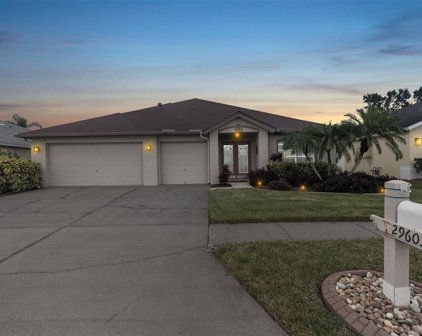 29603 Eagle Station Drive, Wesley Chapel