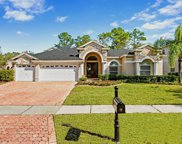 17329 Emerald Chase Drive, Tampa image