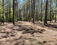15899 Wood Grove Way, Willis image