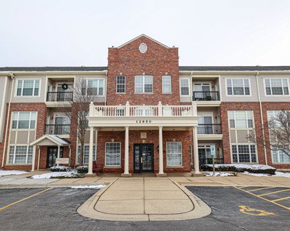 12950 Meadow View Court Unit #203, Huntley