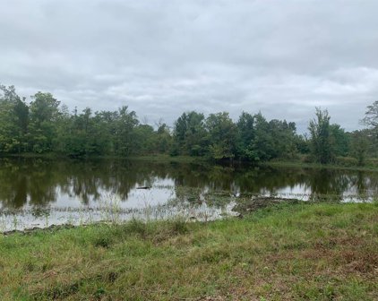 25572 Johnson Road, Montgomery