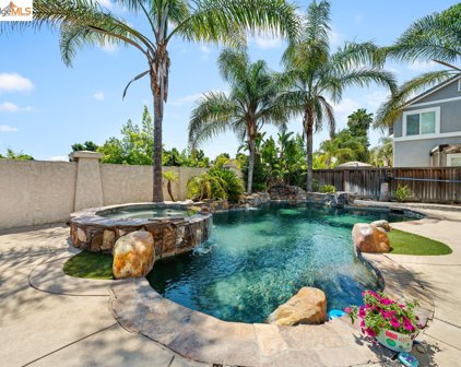 916 Snapdragon Way, Brentwood