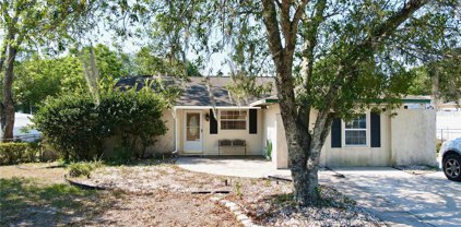 627 Red Robin Road, Seffner