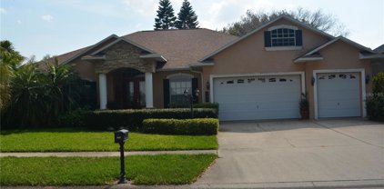 704 Citrus Wood Lane, Valrico