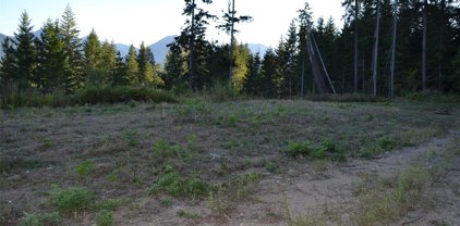 S Skate Creek Rd., Packwood