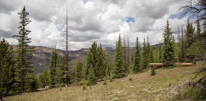 XYZ Forest Service Road 503, Creede